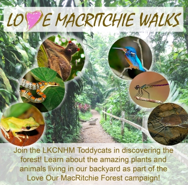 Love MacRitchie Walks by Toddycats poster