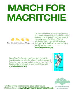 March for Macritchie - orgs writeup2